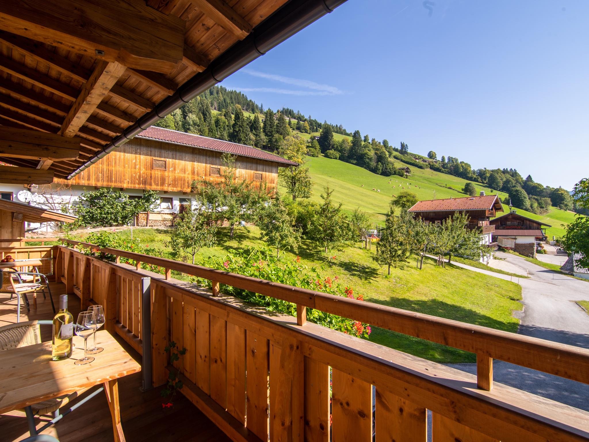 24556