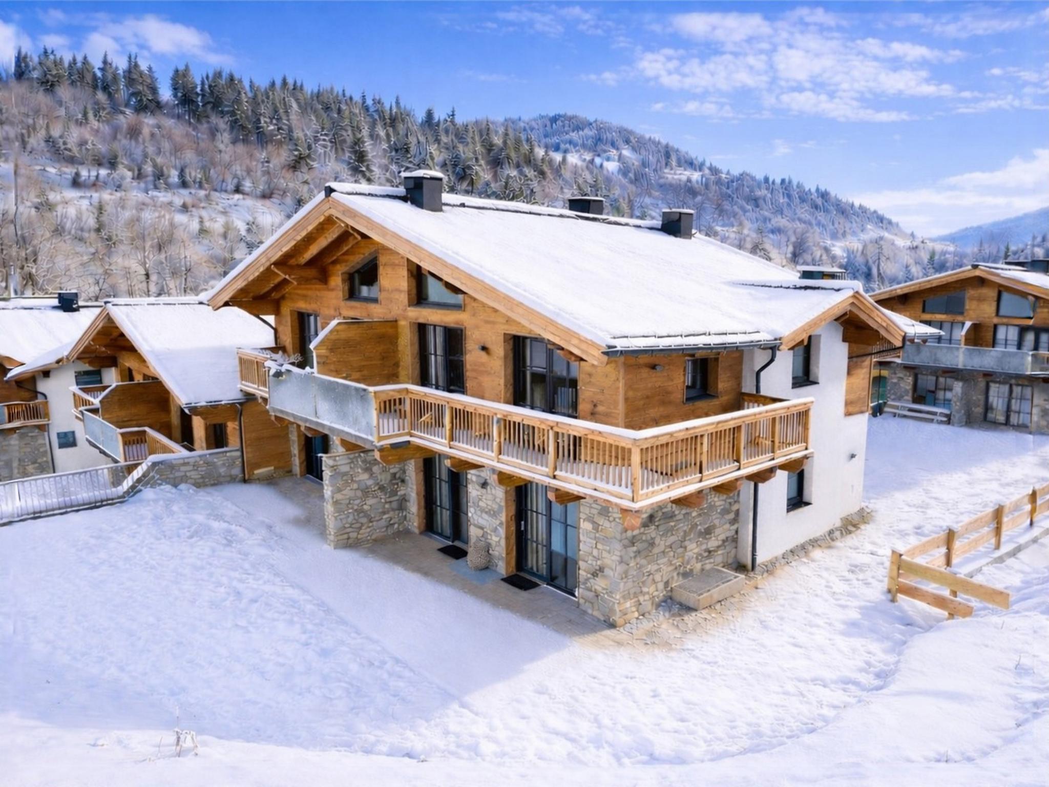 Tauernlodge Eben E4